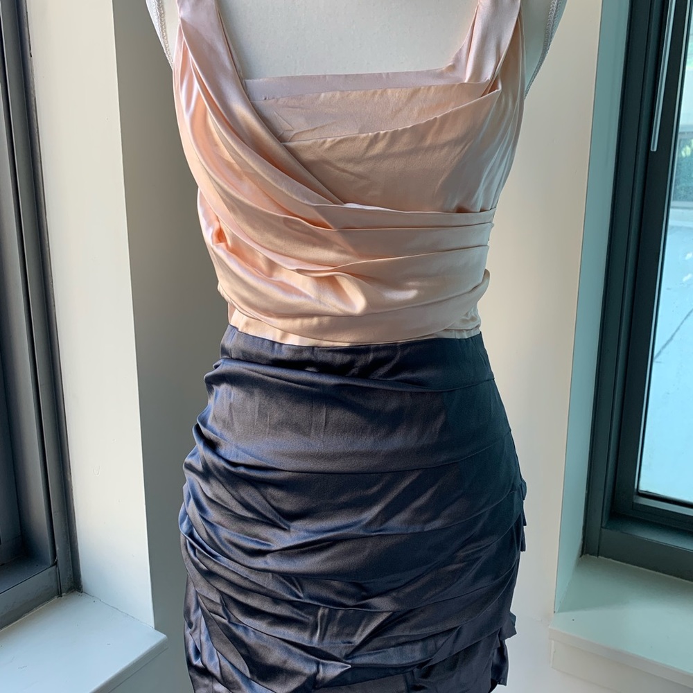 Express Satin Silk Ruched Dress